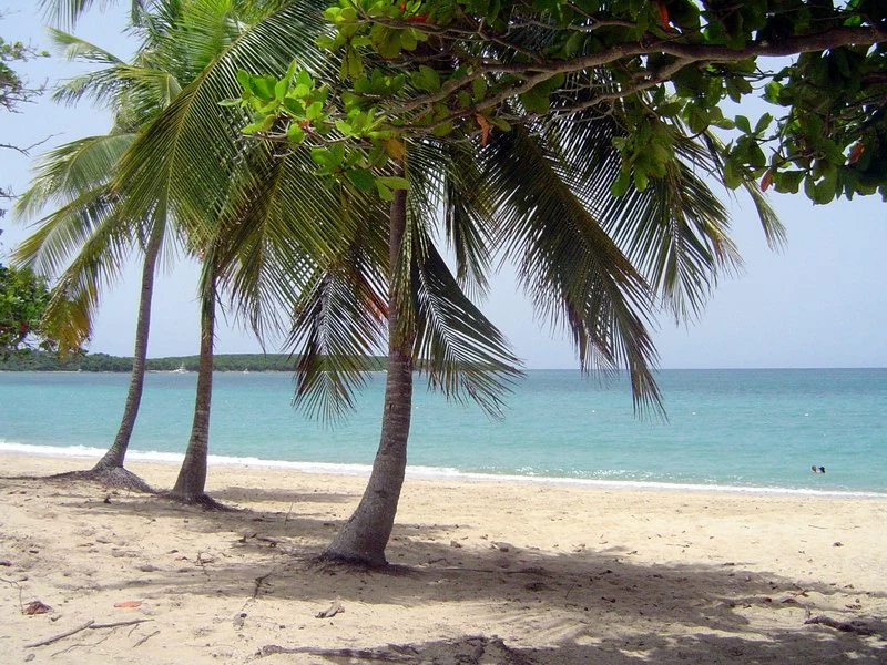 Sun Bay Beach, Vieques